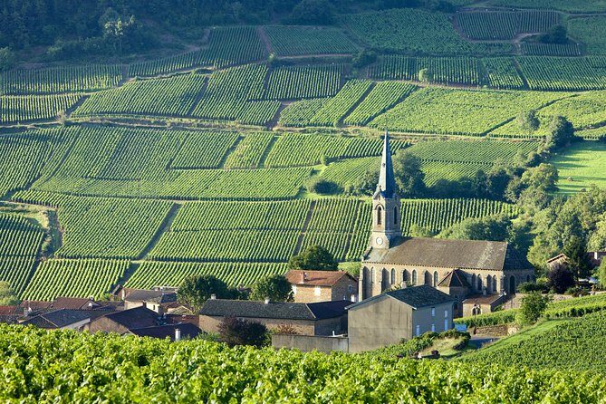 BURGUNDY : Unique Wine Tour from PARIS (Day-trip by TGV - High-speed train) - Why This Tour Offers Great Value