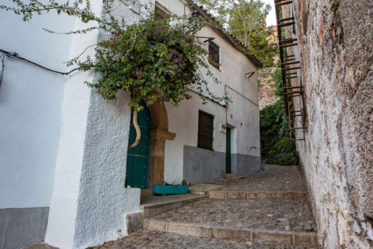 Caceres: Highlights, History and Jewish Quarter Walking Tour - Who Should Consider This Tour?