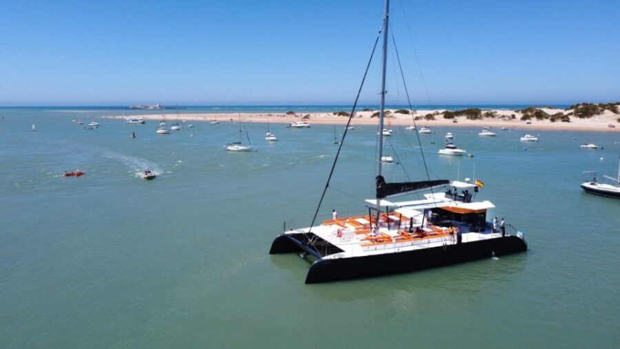 Cadiz: Bay of Cadiz Catamaran Tour with Host - An In-Depth Look at the Cadiz Bay Catamaran Tour