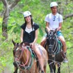 Cádiz Country side: Ride an Andalusian Horse - An In-Depth Look at the Cádiz Countryside Horseback Ride