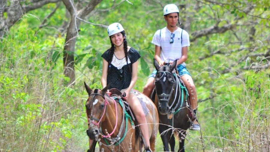 Cádiz Country side: Ride an Andalusian Horse - An In-Depth Look at the Cádiz Countryside Horseback Ride