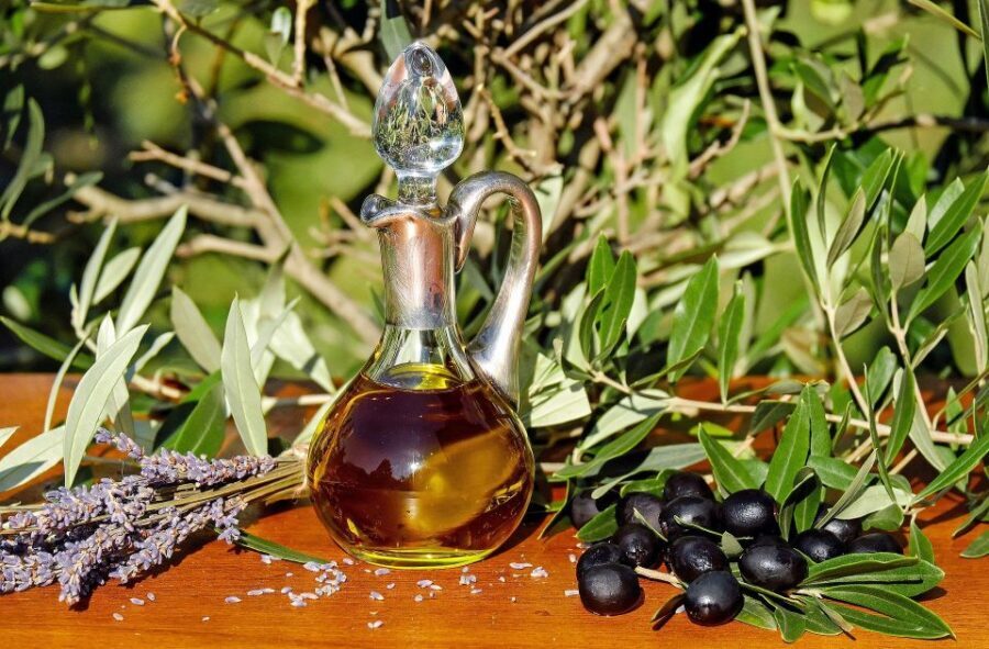 Cadiz: Countryside Finca Ecological Wine Tasting - Who Will Love This Tour?