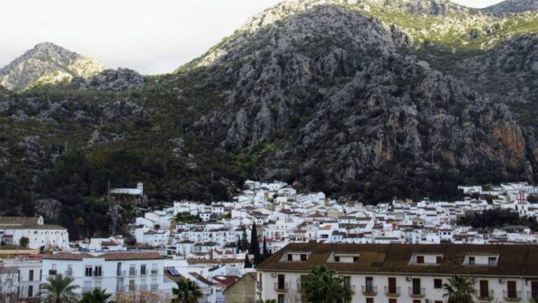 Cadiz, Jerez or El Puerto: White Towns of Andalusia Day Trip - An In-Depth Look at the Tour Experience