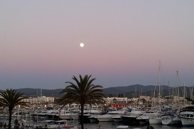 Cafe del Mar Private Boat Trip - Who Will Love This Tour?