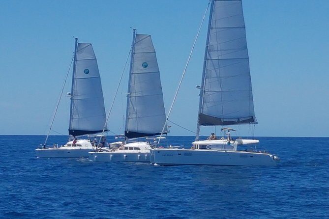 Cala d'Hort Sailing Adventure - Key Points