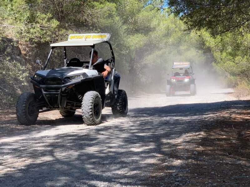 Cala Ratjada: Exclusive buggy tour also for families - Who should consider this tour?