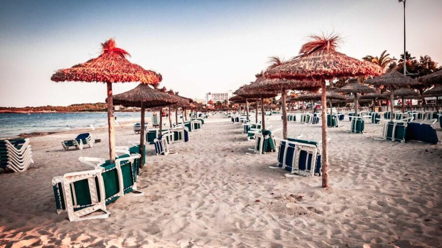 Cala Ratjada: Magical Creatures of Cala Ratjada, family walk - Final Thoughts