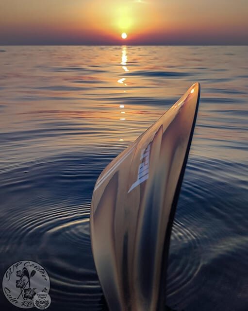 Cala Ratjada: Stand Up Paddle Sunrise Tour - The Practical Details