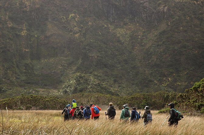 Caldeira do Faial Descent - private hiking tour - The Sum Up