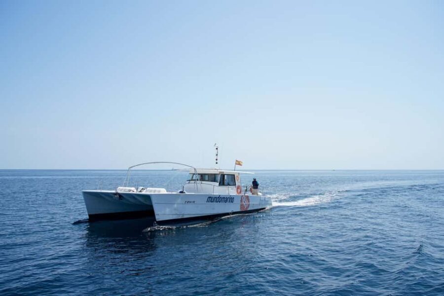 Calpe: Motor Catamaran Boat Tour with Sunset Option & DJ