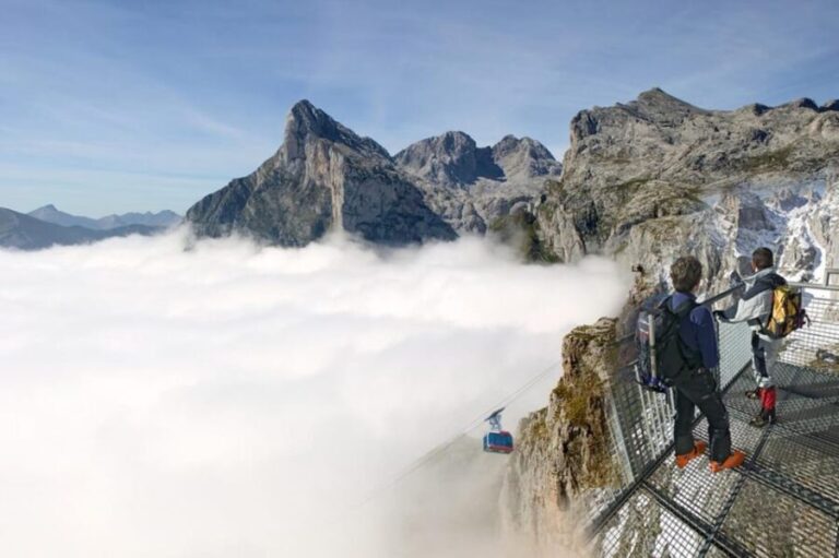 Camaleño: Fuente Dé Cable Car Ticket Ride - Why Travelers Love This Experience