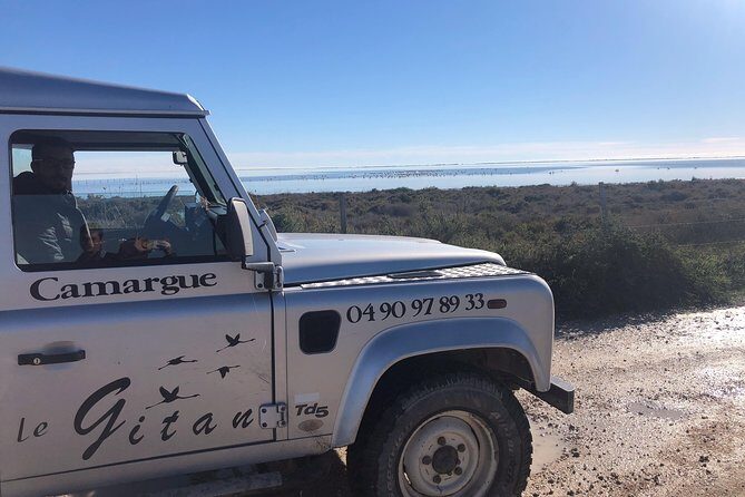 Camargue 4x4 Safari 2 hours Saintes Maries de la Mer - Who Will Love This Tour?