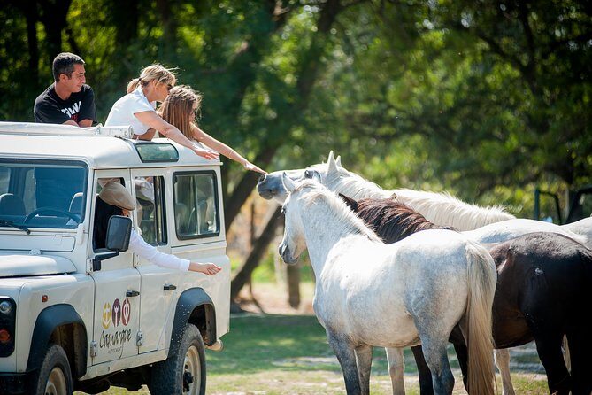 Camargue 4x4 Safari VIP Tour - An In-Depth Look at the Camargue 4x4 Safari VIP Tour