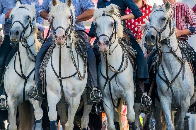 Camargue Small-Group Day Trip from Avignon - Practical Considerations and Tips