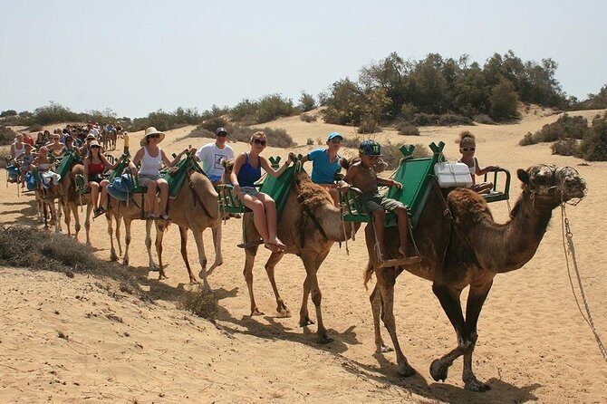 Camel Riding in Maspalomas Dunes - Who Will Love This Experience?