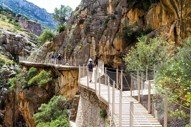 Caminito del Rey Tour from Malaga - The Real Experience: What Reviews Reveal
