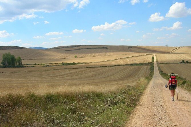 Camino De Santiago: Last 100 km walk from Sarria to Santiago de Compostela - Final Thoughts
