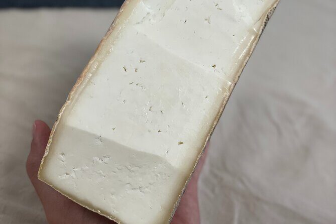 Canarian cheese tasting - A Deep Dive into the Canarian Cheese Tasting Experience