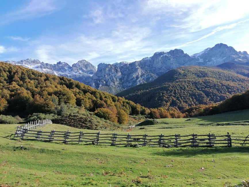 Cangas de Onís: Route in the Vegabaño Forest with lunch at a mountain refuge - FAQ