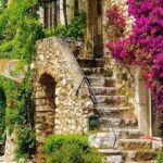 Cannes Shore Excursion: Grasse, Gourdon & St Paul de Vence - Final Thoughts: Is It Worth It?