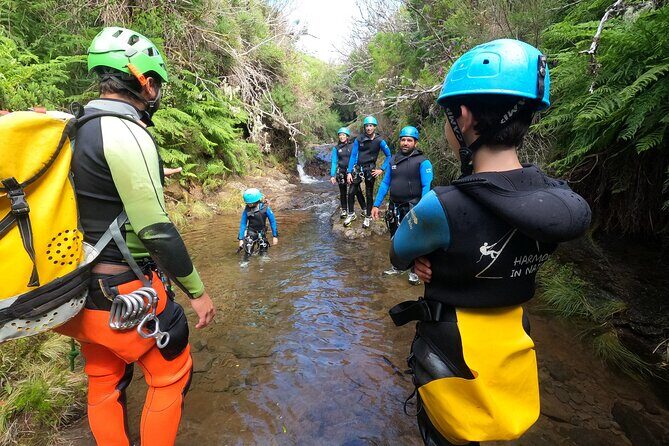 Canyoning in Madeira Island- Level 1 - Why We Think This Tour Offers Great Value