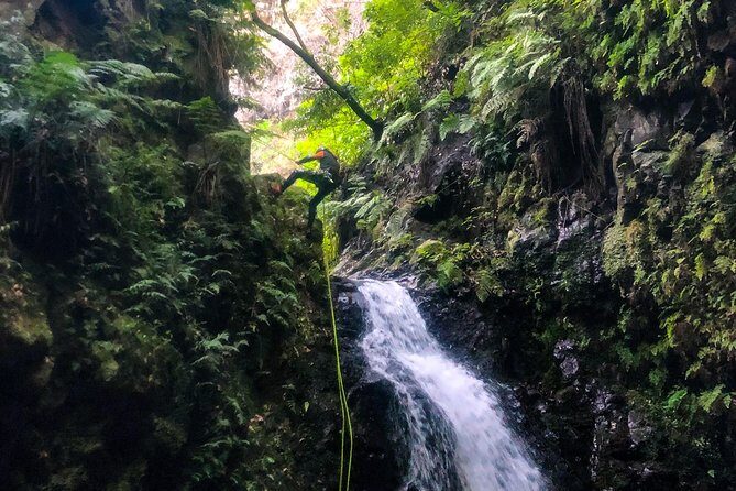 Canyoning Madeira Island - Level Two - The Sum Up: Is This Tour Right for You?