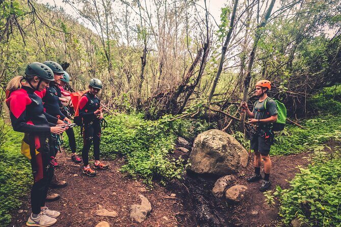 Canyoning with Waterfalls in the Rainforest - Small Groups - Final Thoughts: Who Should Sign Up?