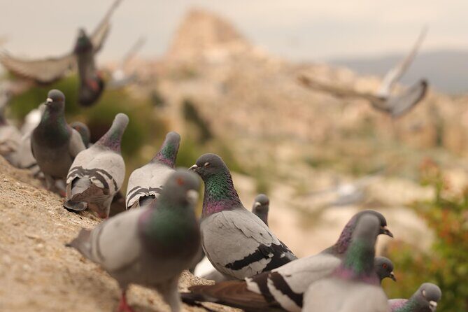 Cappadocia Private Guided Tour(Car&Licensed Guide) - Transportation, Timing, and Overall Value