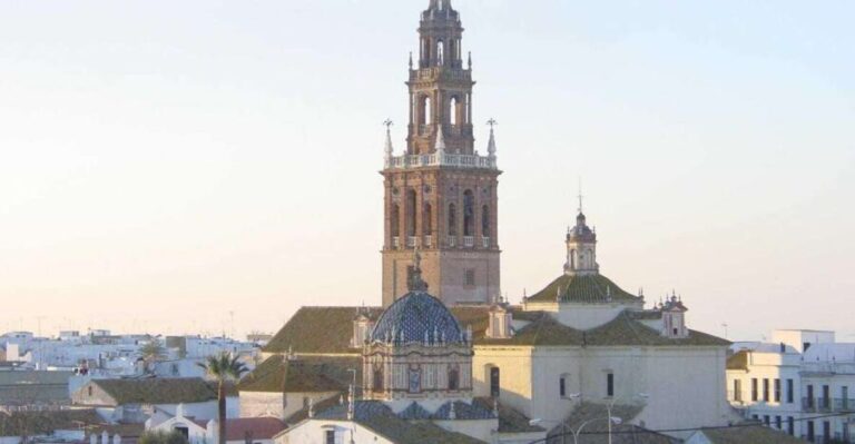 Carmona and Necropolis Tour from Seville - Final Thoughts