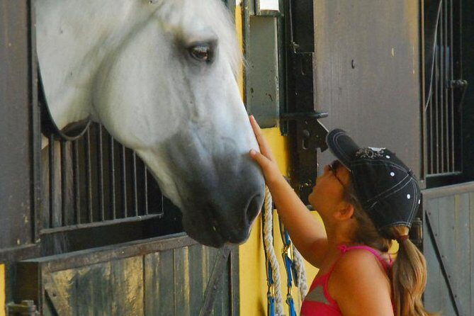 Carthusian Stud private  Yeguada de la Cartuja - Key Points