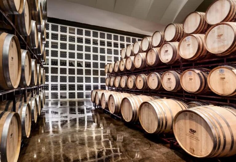 Casa Relvas, Évora - Visit to the Winery with Tasting of 3 wines and snacks - Key Points