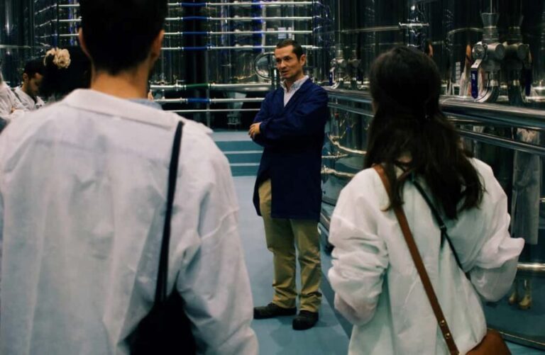 Casa Relvas, Vidigueira: Olive Harvest Campaign Program - An In-Depth Look at Casa Relvas Olive Harvest Campaign