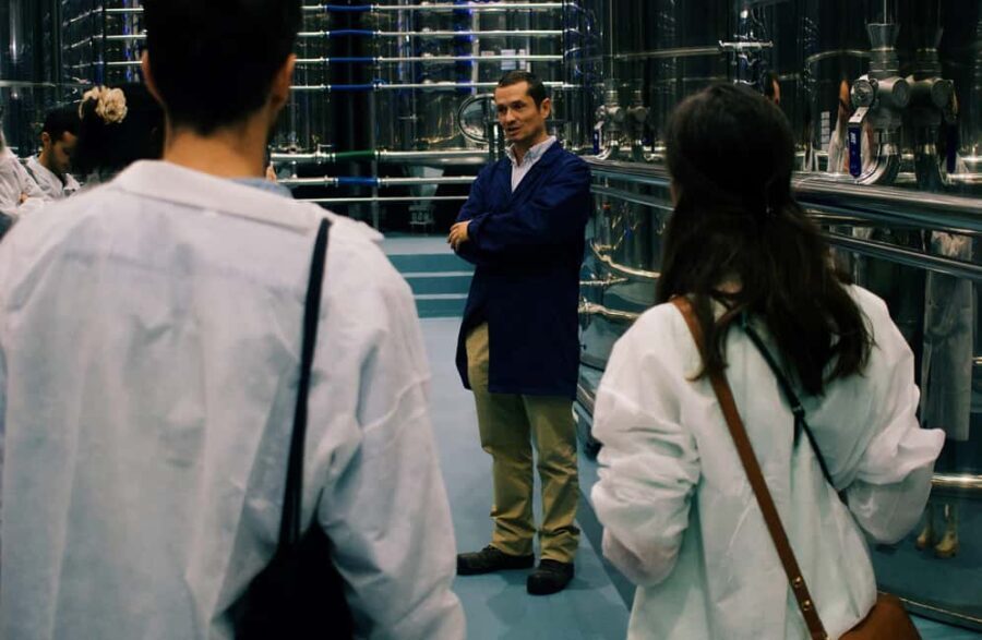 Casa Relvas, Vidigueira: Olive Harvest Campaign Program