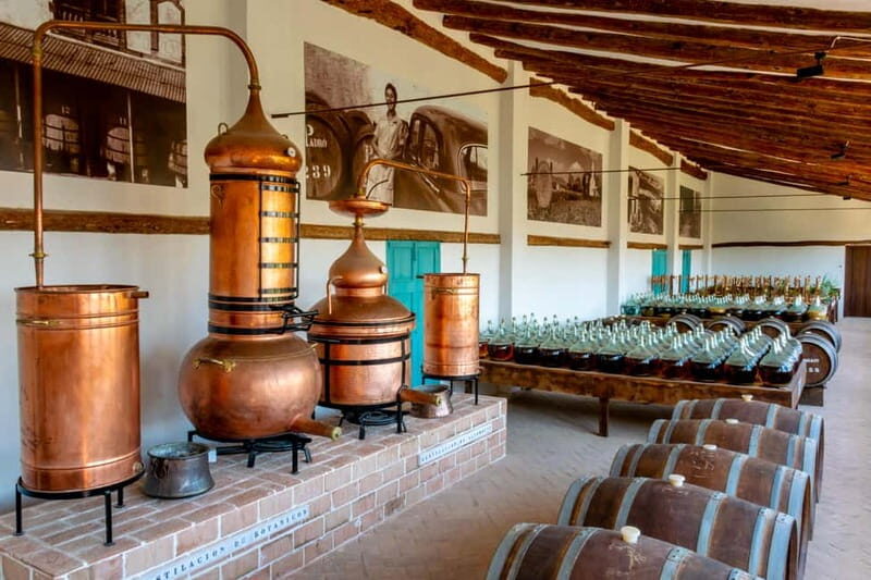 Casa Vermouth Padró: Vermouth tasting and guided visit in Bràfim (Tarragona) - A Detailed Look at the Experience