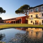 Castille and León: Vineyard Tour with Wine Tasting - The Experience in Detail