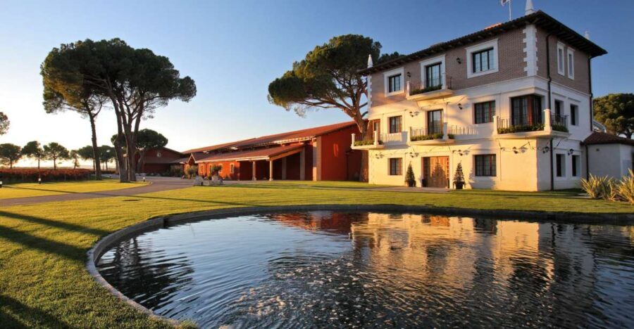 Castille and León: Vineyard Tour with Wine Tasting - The Experience in Detail