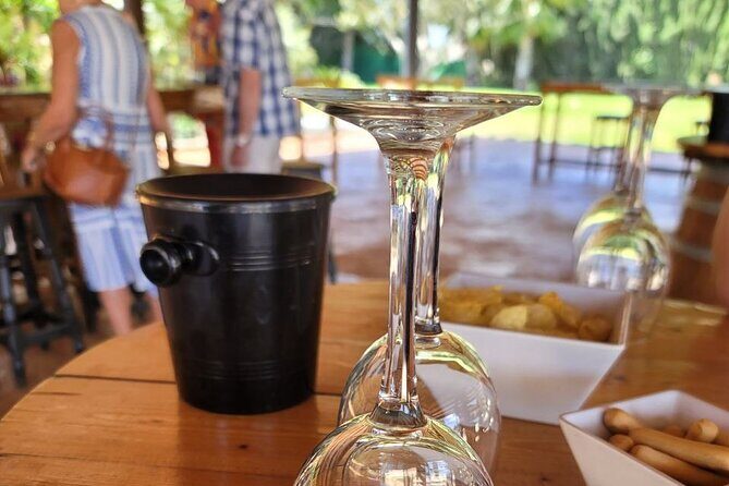 Castle Tour in Province of Alicante and Wine Tasting - Who Will Love This Tour?