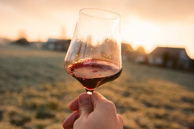 Castle & Wine Tasting - Private Day Trip from Zagreb - The Vineyard and Wine Tasting at Vuglec Breg