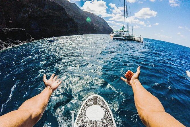 Catamaran Day Cruise to Desertas Islands from Funchal - What the Reviews Say