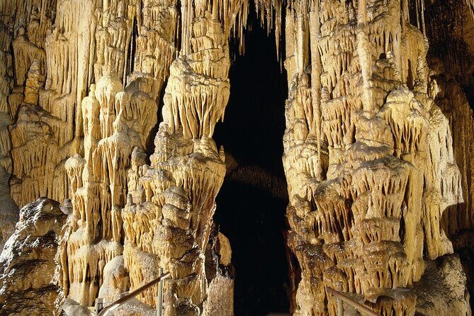 Caves Drach Tour & Return Transfer from Cala Dor-Calas Mallorca - Authentic Experiences and Honest Feedback