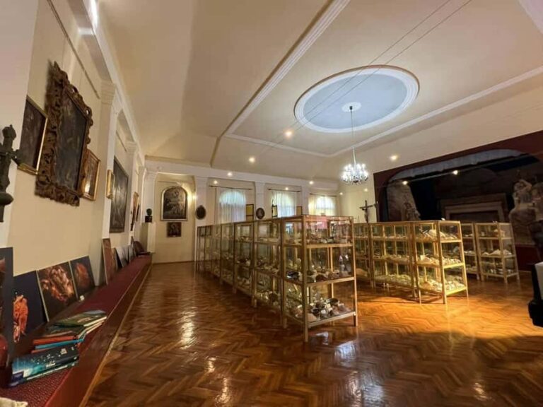 Cavtat: Shell Museum Entry Ticket with Guided Tour Option - A Closer Look at the Shell Museum Experience