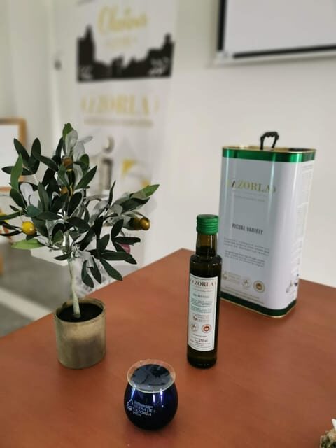 Cazorla: Oleotour - Olive Oil Culture Initiation - Final Thoughts