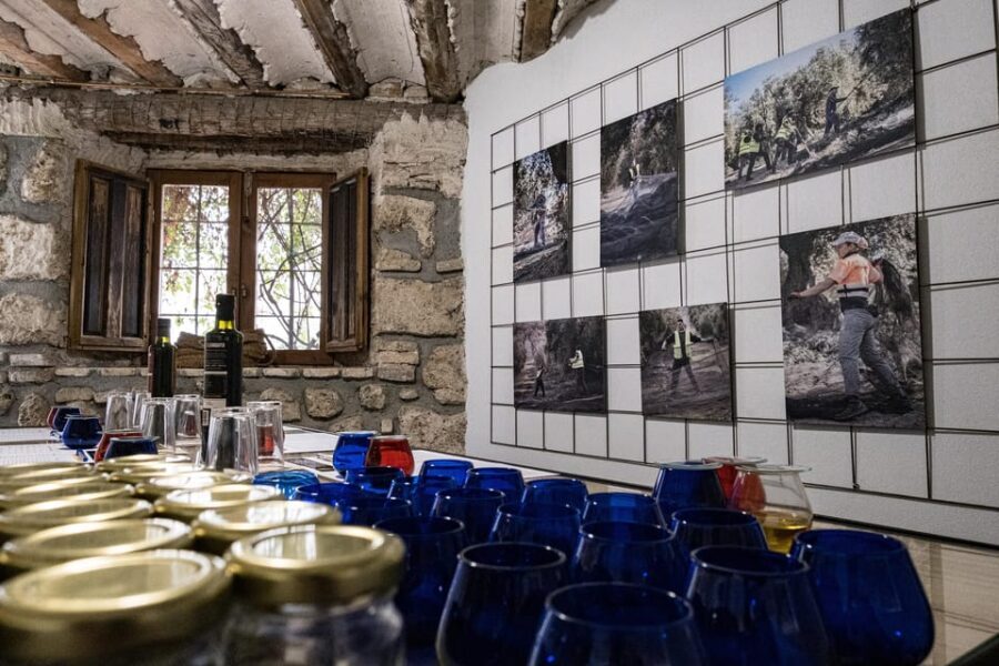 Cazorla: Olive oil tasting - FAQ