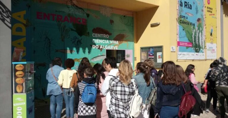 CCVAlgarve Individual Ticket - Educational Features and Interactive Modules