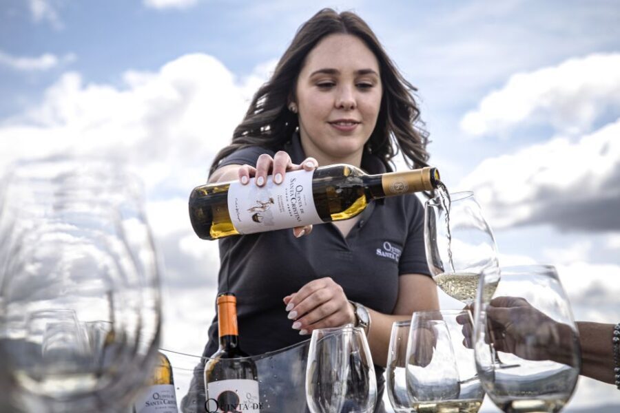 Celorico De Basto: Quinta de Santa Cristina Winery Tour - Why This Tour Is Perfect for You