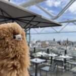Centre Pompidou: Museum Ticket Entry& 3h Private Guided Tour - Value for Money
