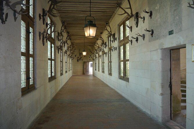 Chambord Castle: Private Guided Walking Tour - A Detailed Look at the Chambord Castle Private Tour