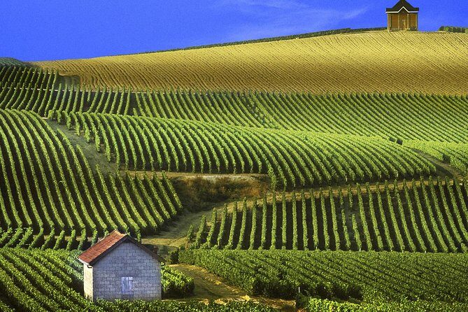 Champagne Day Tour with Reims, Cellars Visit & Champagne Tasting from Paris - Authentic Experiences and Unique Highlights