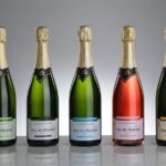 Champagne Guy De Chassey: Traditional Tour & Tasting - Who Should Consider This Tour?