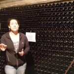 Champagne Lamiable: Traditional Tour & Tasting - A Close Look at Champagne Lamiable: An Insider’s Perspective